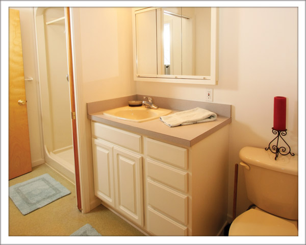 150 Tompkins St. Apartment 2B Bathroom